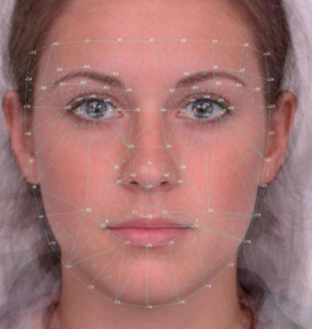 Rendering of tris generated from facial control points which were used to render masks.